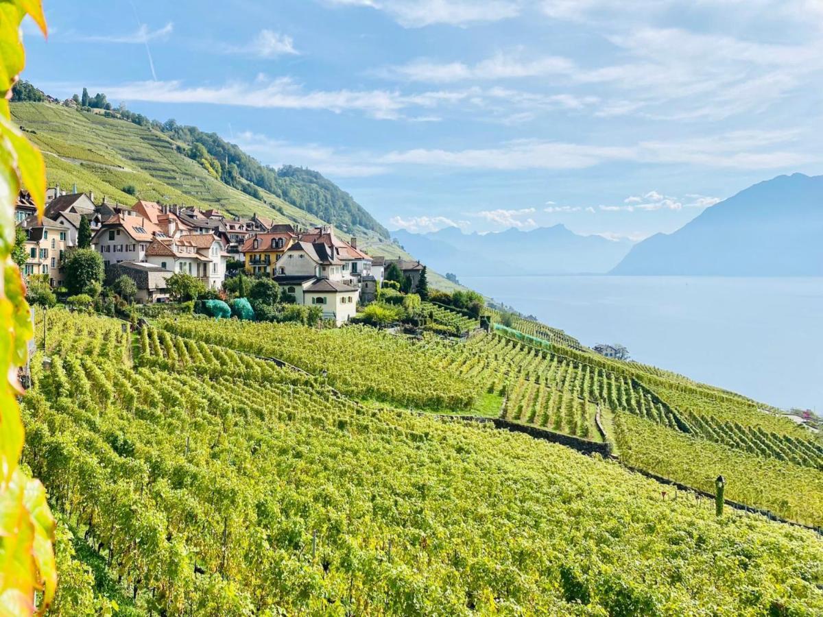Montreux Holiday Home מראה חיצוני תמונה