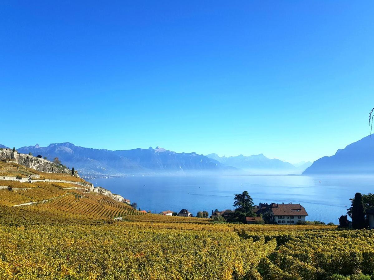 Montreux Holiday Home מראה חיצוני תמונה